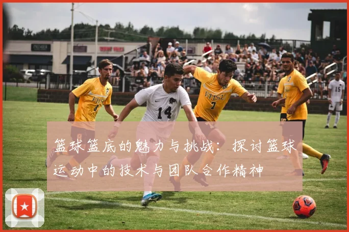 篮球篮底的魅力与挑战：探讨篮球运动中的技术与团队合作精神