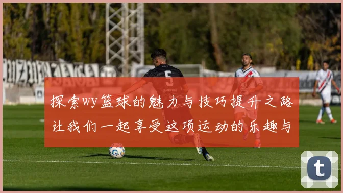 探索wy篮球的魅力与技巧提升之路让我们一起享受这项运动的乐趣与挑战