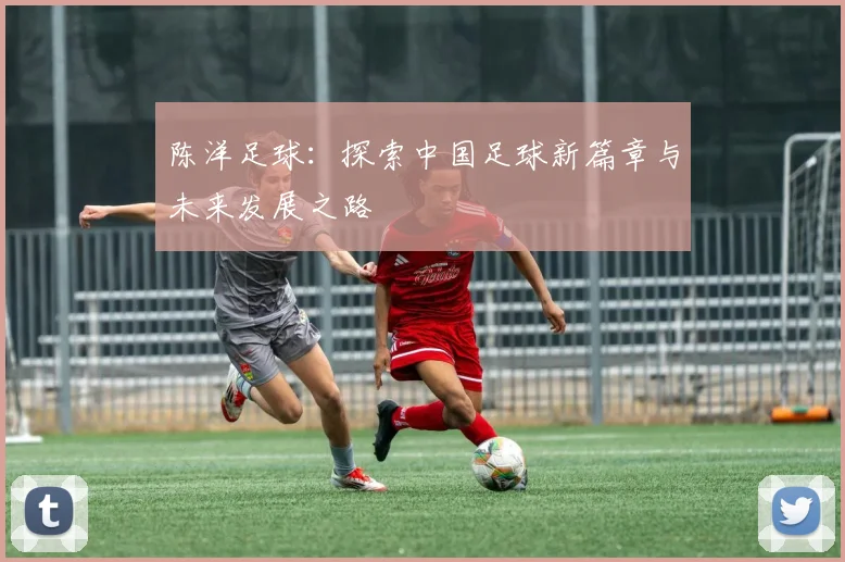 陈洋足球：探索中国足球新篇章与未来发展之路