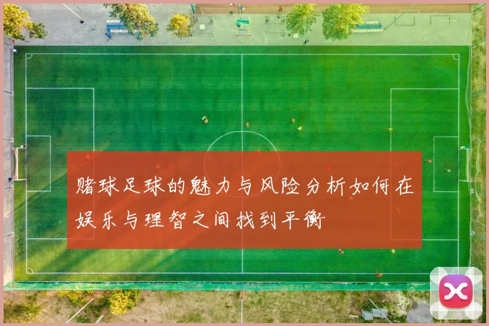 赌球足球的魅力与风险分析如何在娱乐与理智之间找到平衡
