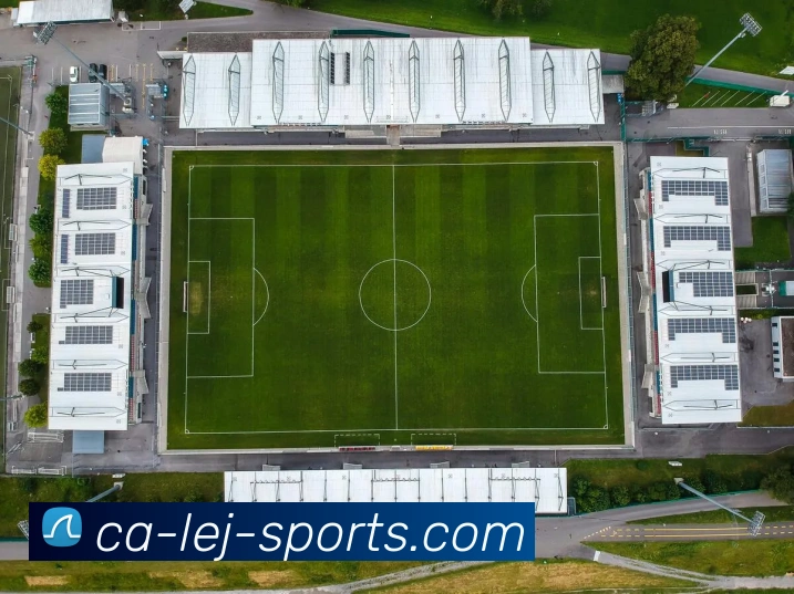 乐竞平台服务体系